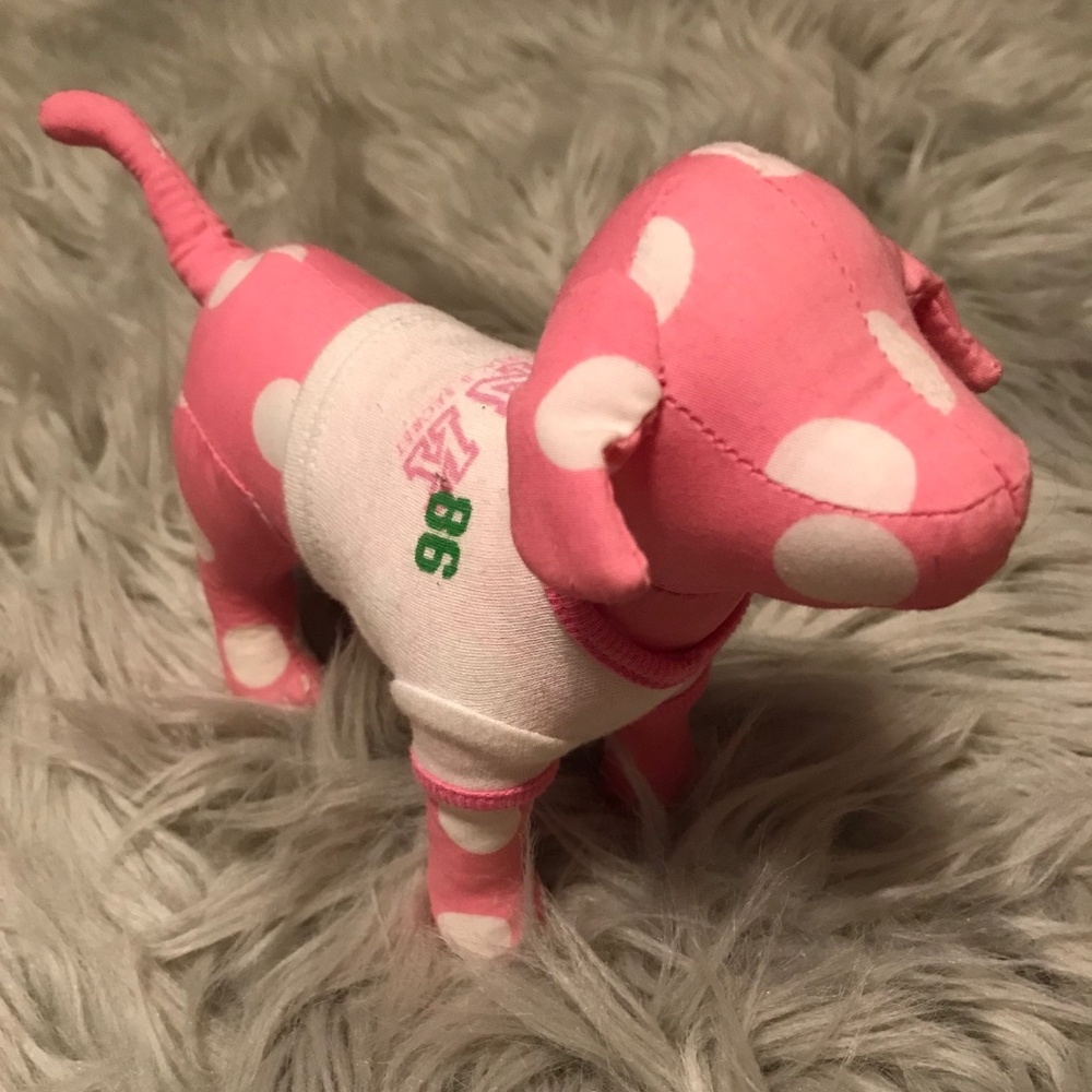 VS PINK Dog Spring